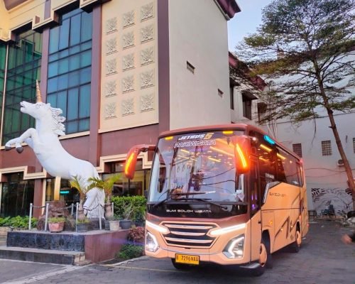 WhatsApp Image 2025-03-28 at 12.34.14