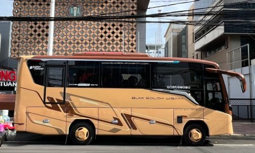 WhatsApp Image 2025-03-28 at 12.34.15