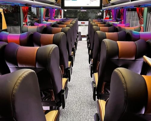 WhatsApp Image 2025-03-28 at 12.34.18 (1)